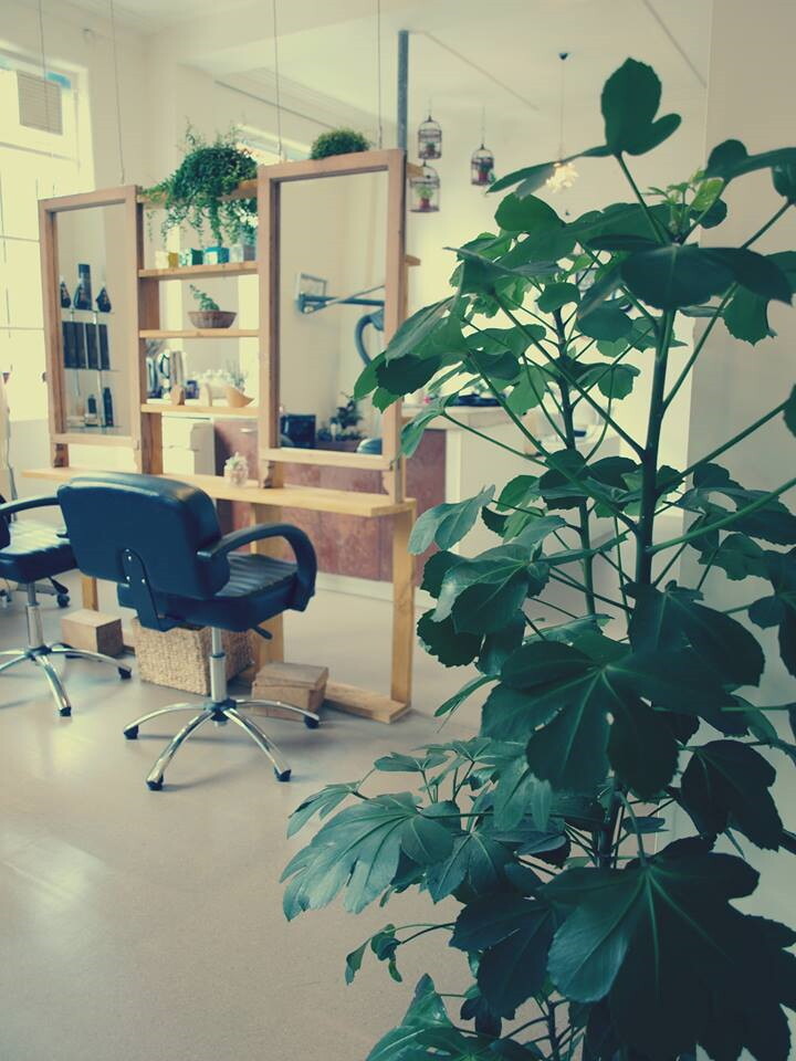 ニュージーランド 美容室Leaf hair studio